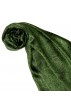 Herren Schaltuch Paisley grün grasgrün LORENZO CANA